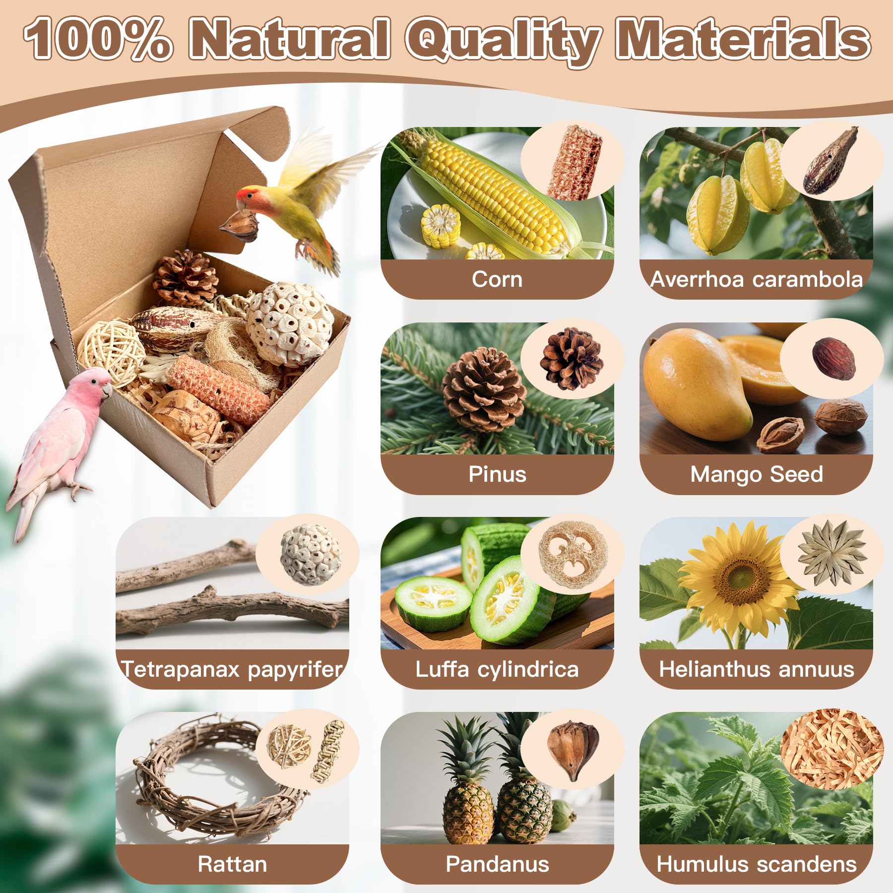 Conure Toys, Tyotrbs Cockatiel Toys Foraging Toys for Birds Budgie Shredder Hanging Set Cockatiel ChewToys Parrot Climbing CageToy Lovebird Cage Accessories for Small Birds