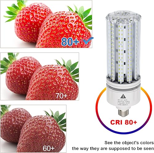 Miniatura 3 de ZP Bombilla LED de maíz de 100 W, súper brillante, 15000 lm, 5000 K, E26/E39, bombilla LED de maíz LED CFL equivalente a 1000 W, bombilla LED HID