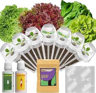 Lettuce Seed Pods for AeroGarden, Ahopegarden, iDOO, MUFGA - Compatible with All Hydroponic Indoor Garden Growing System Refill, 400+ Seeds, 7 pods
