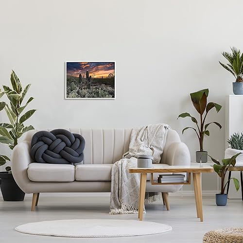 Miniatura 25 de Stupell Industries Arte de pared enmarcado con diseño de cactus del desierto árido, diseño de Nathan Larson Enmarcado en gris