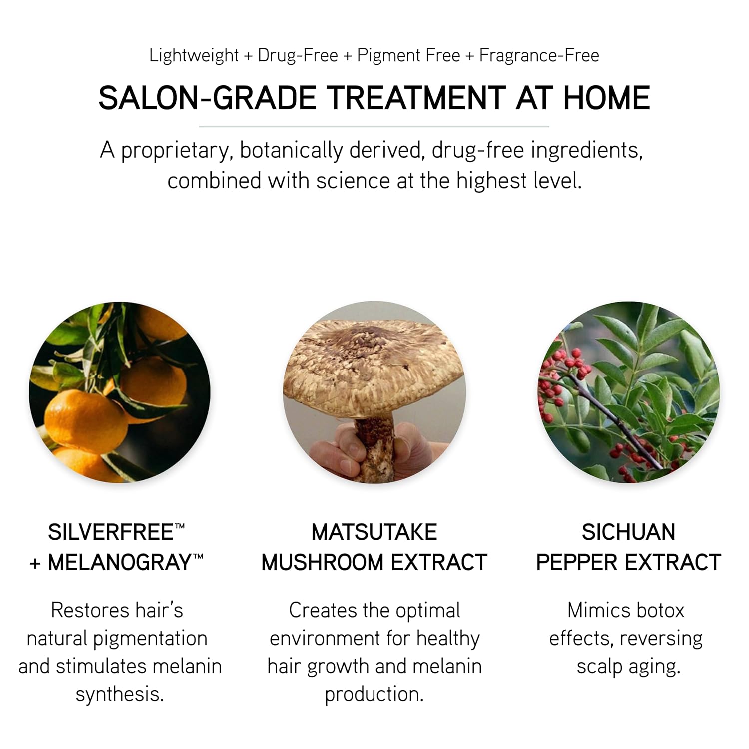 ILES FORMULA Grey Delay Anti Gray Hair Booster – Botanical Leave-In Treatment Spray with Silverfree and Melanogray to Restore Natural Hair Color and Prevent Premature Greying, 1-Month Supply - Image 4