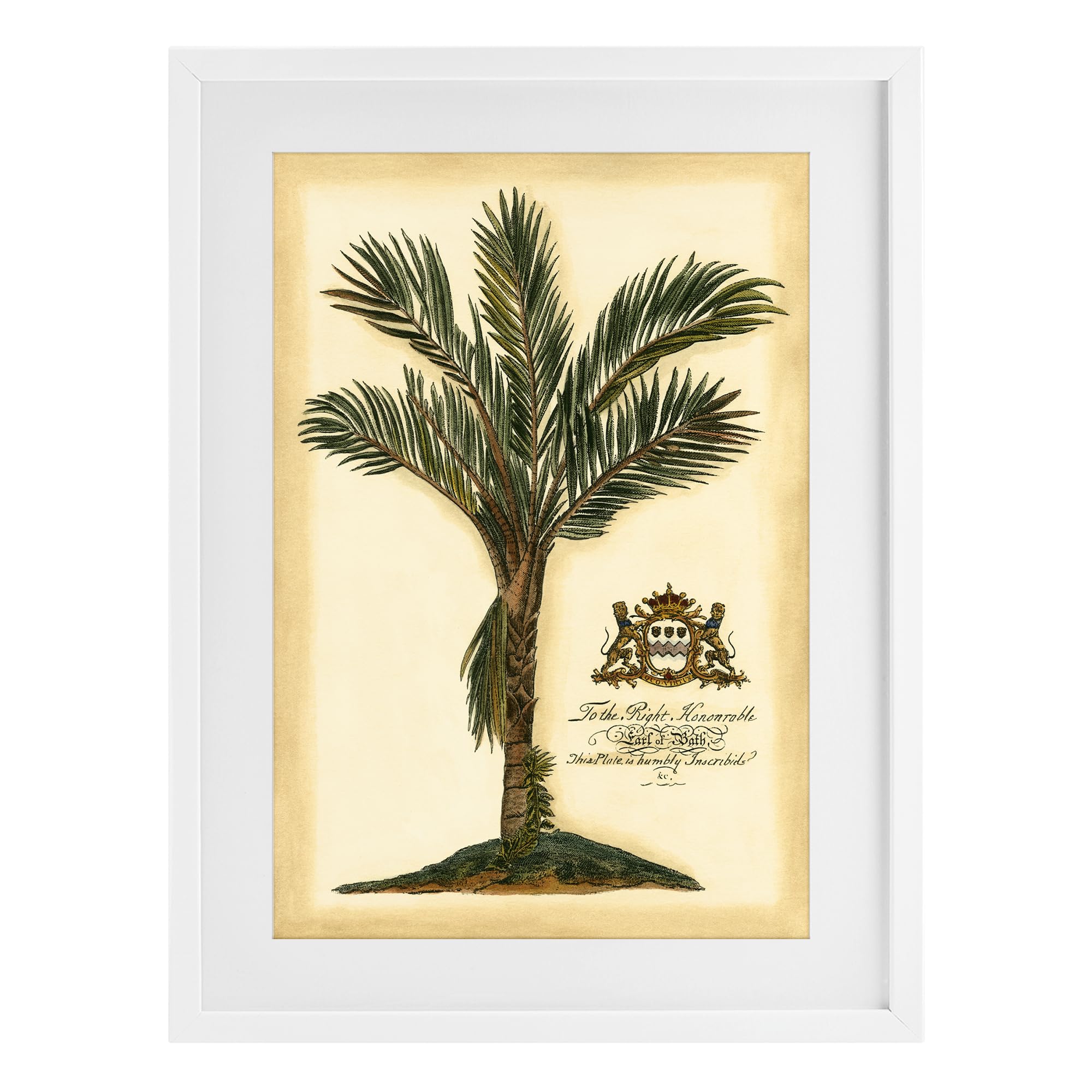 Stupell Industries Coastal White (Textured) 'Vintage Colonial Palm'| Framed Print Under Glass