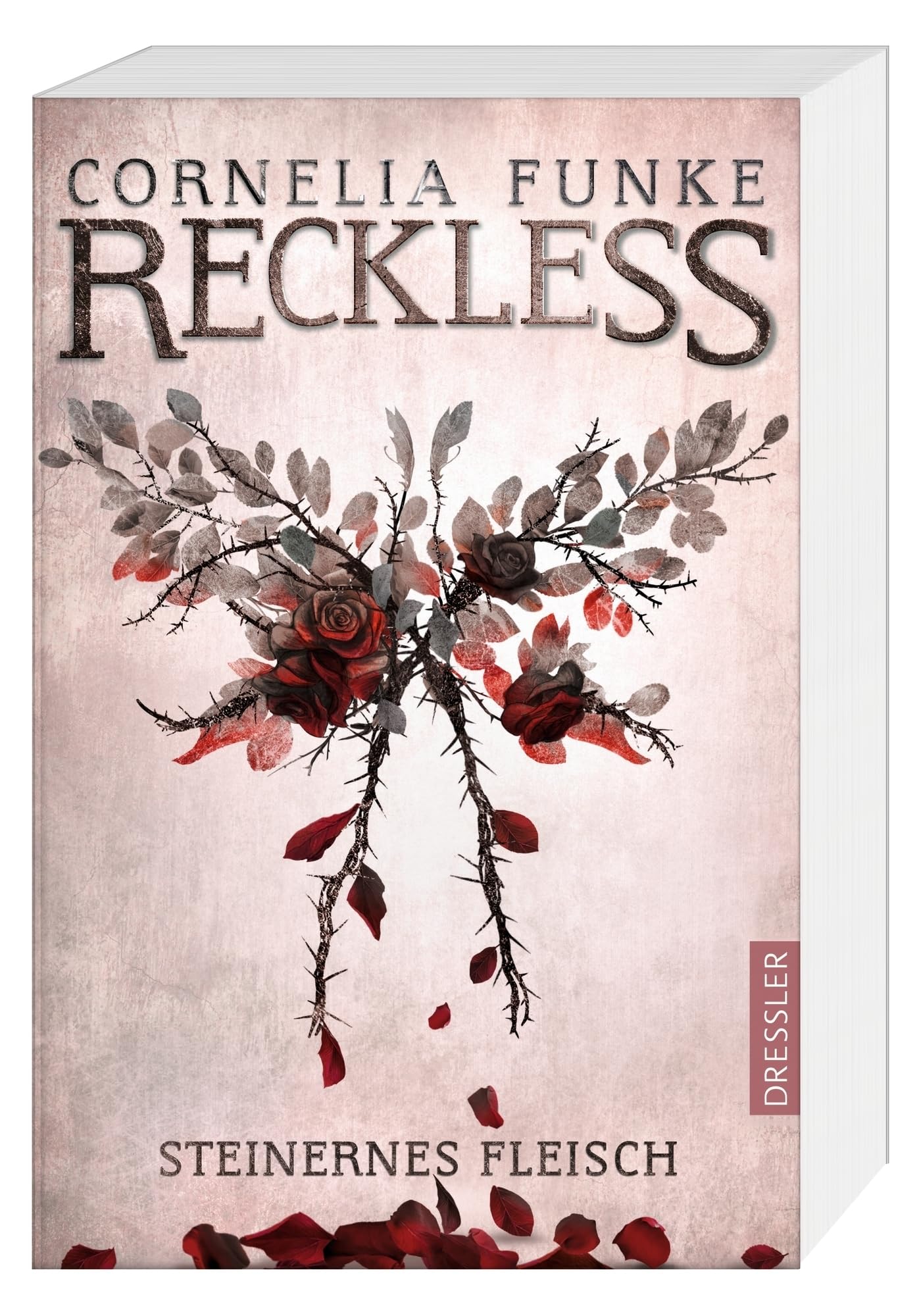 Reckless 1. Steinernes Fleisch: Der Start der Fantasy-Buchreihe von Cornelia Funke