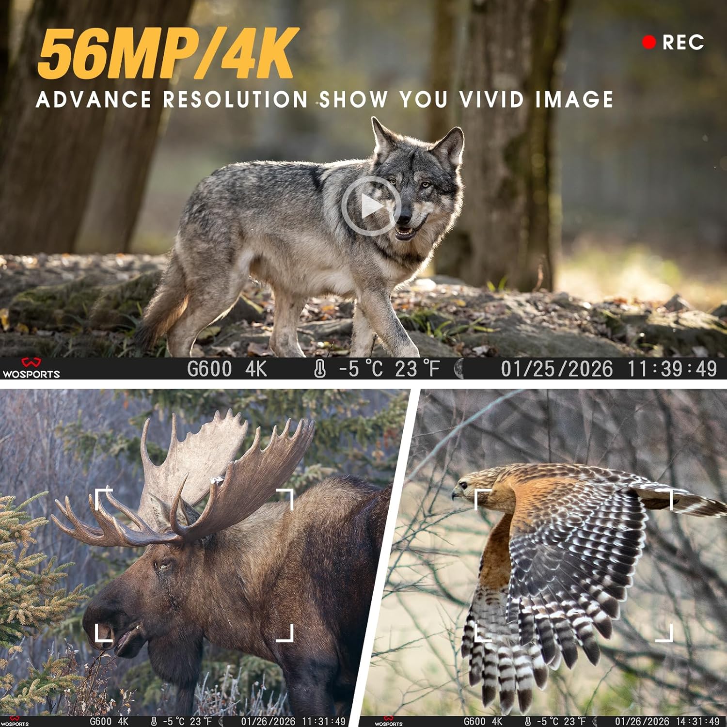 WOSPORTS Rechargeable Trail Camera 2Pack 56MP 4K 0.2S Trigger Motion Activated,Game Camera with Night Vision 2.0" LCD 120°Wide Trail Cam for Outdoor Scouting Wildlife Monitoring Home Security
