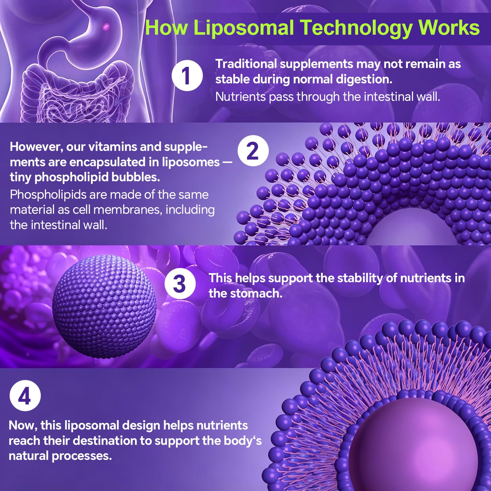 Liposomal Glutathione Supplement 1200mg Plus - with NAC, Milk Thistle, R-Lipoic Acid & Vitamin C, Built-in Regeneration System for Liver, Skin & Cellular Health, Non-GMO, 180 Capsules — Amazon image 7