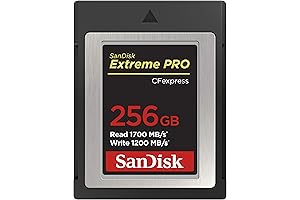 SanDisk 256GB Extreme PRO CFexpress Card Type B: Unleash Blazing Speed and Reliability
