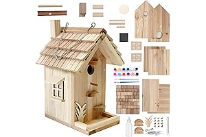 DIY Wooden Birdhouse Building Kit for Kids and Adults