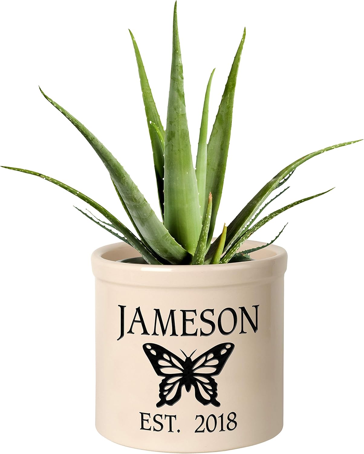 Personalized 2 Gallon Crock Pot with butterfly design