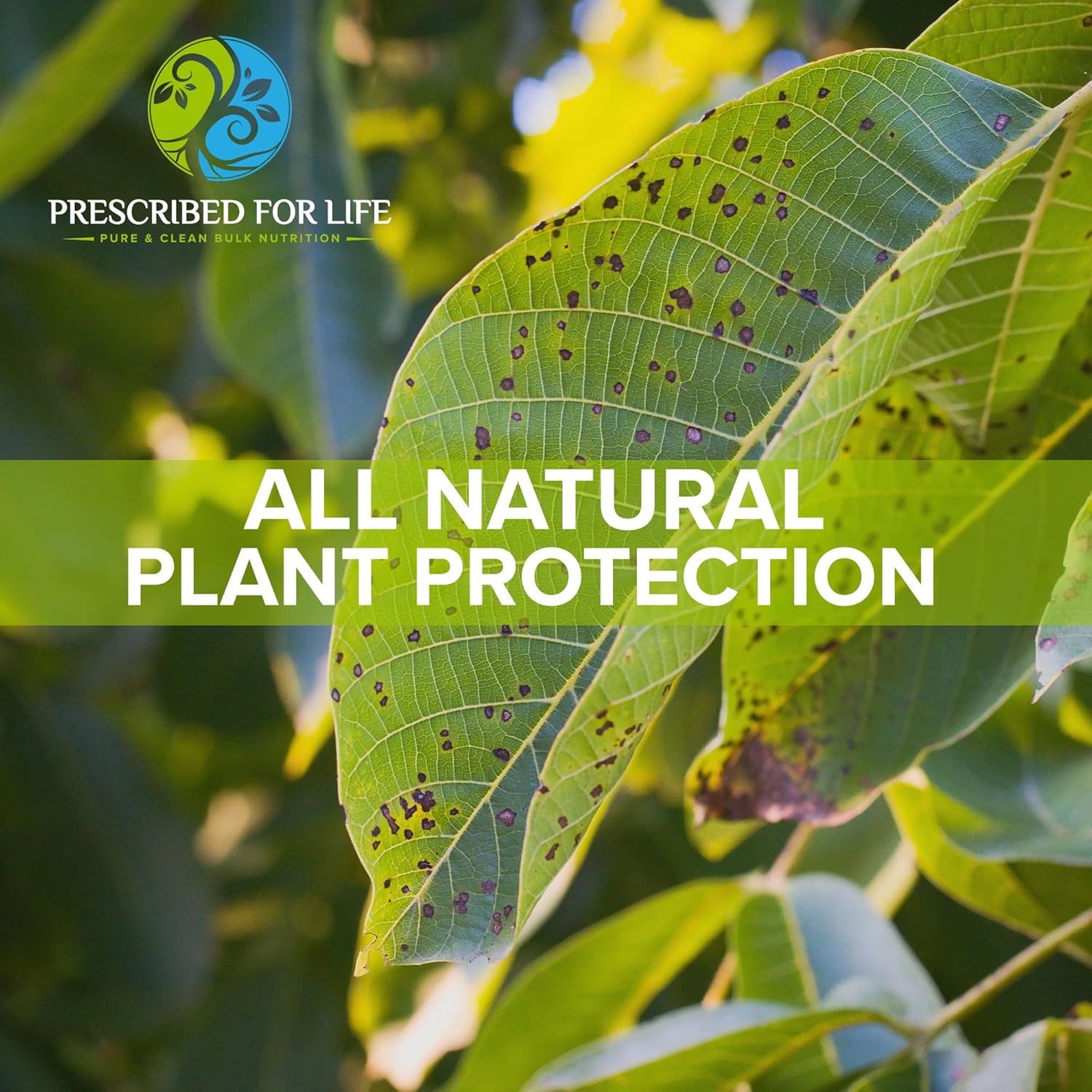 Prescribed for Life Potassium Bicarbonate Powder, Pure USP & Food Grade Potassium Bicarbonate for Plants, Winemaking, & Baking, Crystalline Powder, 39% K (1lb)