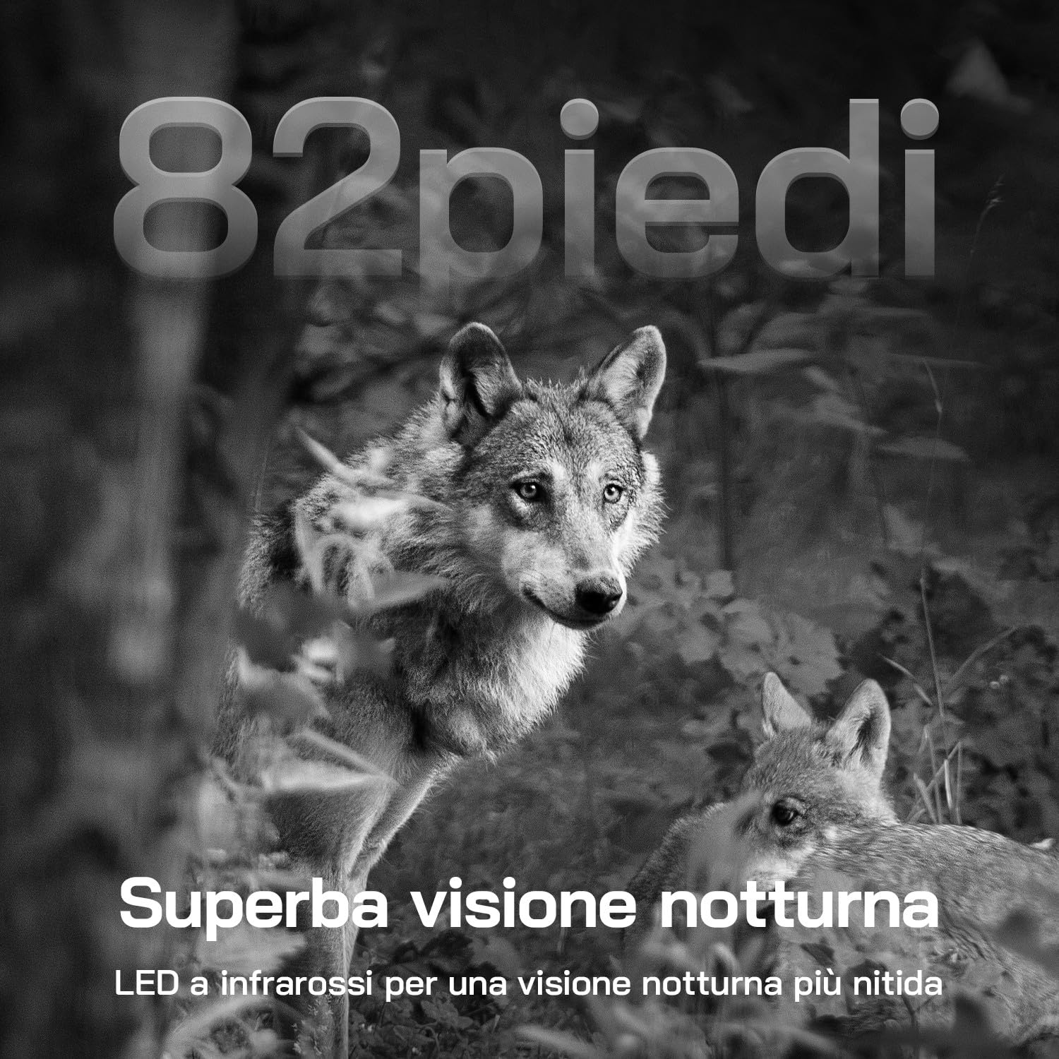 WOLFANG Fototrappola, 4G LTE Fototrappola Solare 2.5K con Scheda SIM Preinstallato e SD, Fotocamera con Allarme, Visione Notturna, Angolo 120° 82ft, Tempo di Scatto 0,2s, IP66 Impermeabile
