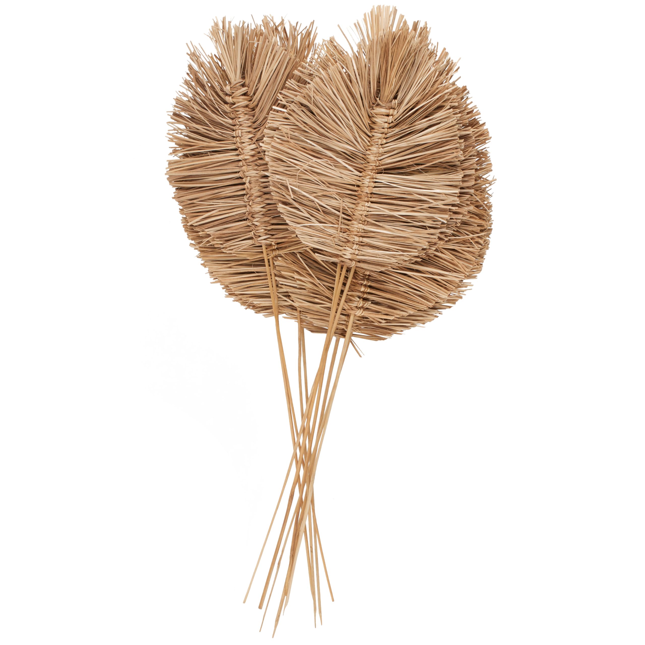 dried tobacco leaves for decoration Artisan - Happy Friday! We're all over this… Flue-cured tobacco. Straight lay pattern. All Artisan Leaf #decorativetobacco #artisanleaf #madeinnc #tobaccoleaf #cigar #madeinnorthcarolina #wilsonnc #makersgonnamake Tobacco Leaf Decor (flue-cured) -