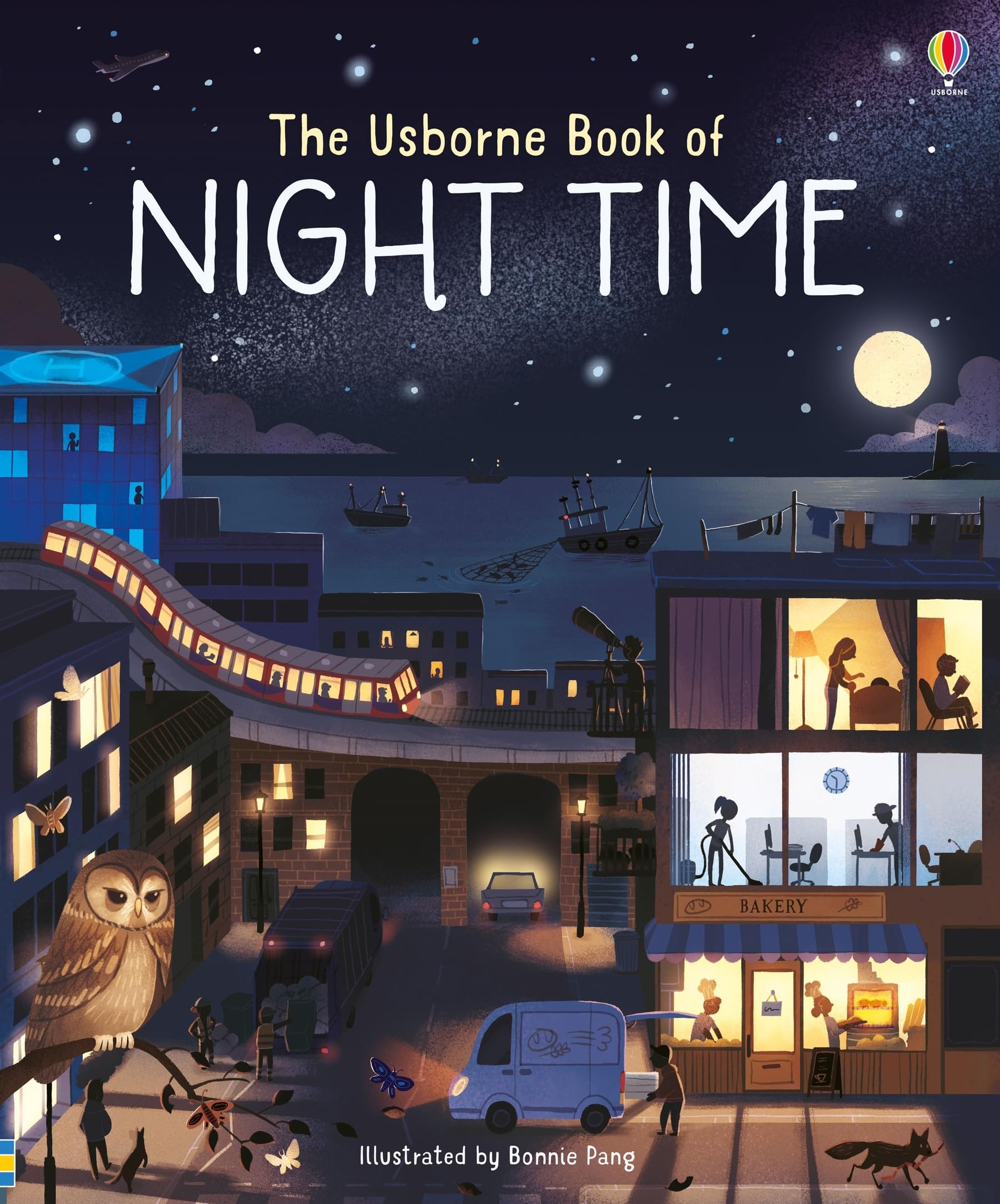 The Usborne Book of Night Time (Picture Books)