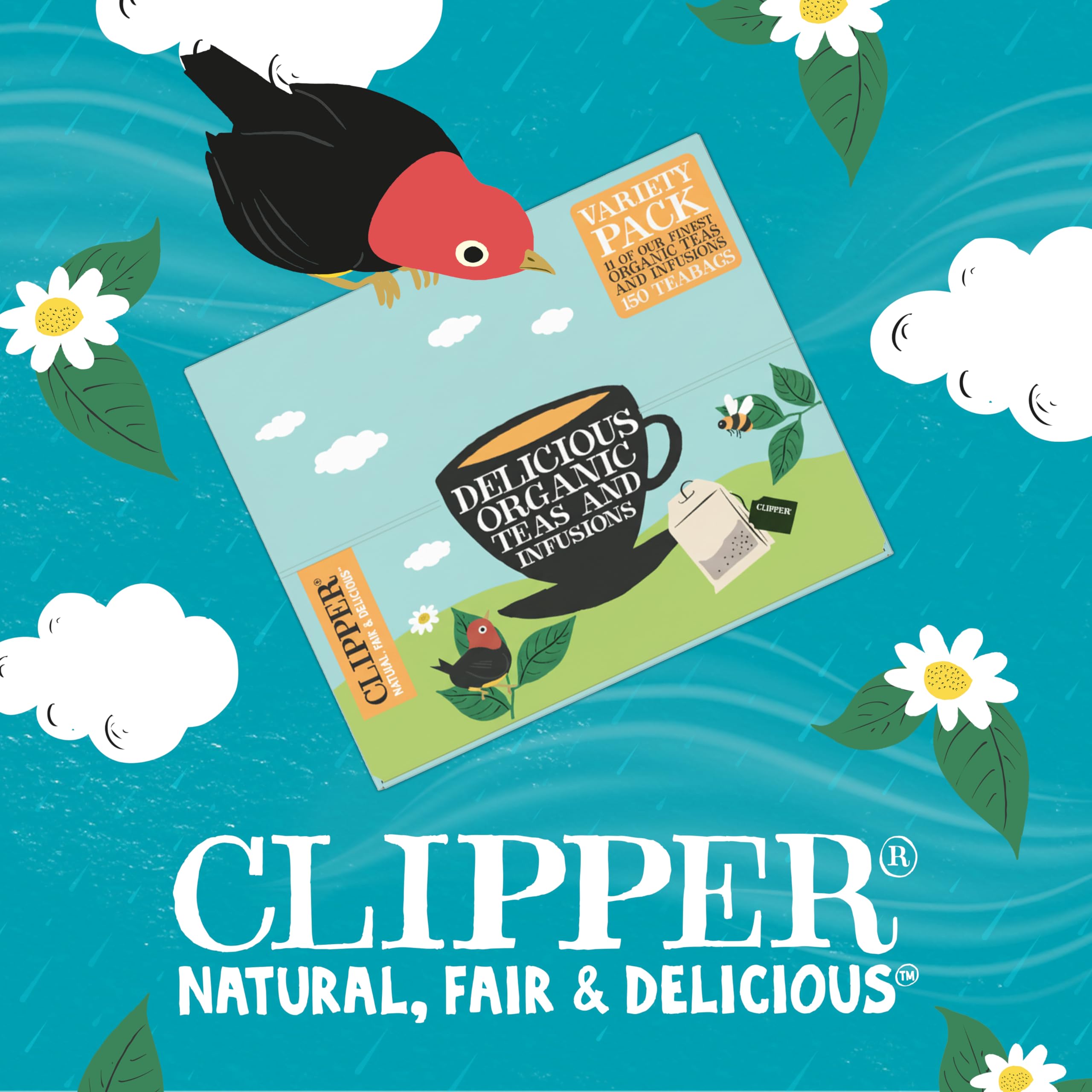 CLIPPER – Coffret Découverte Thés et Infusions Bio Assortis – 180 Sachets Non Blanchis – Grand Format Dégustation – Idée Cadeau - Restauration - 374 g