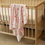 Baby Blankets for Girls and Boys - Super Soft Nursery Minky Blanket, Newborn Baby Blanket with Double Layer Dotted Backing, 30 X 40 Inch, A Pink Floral