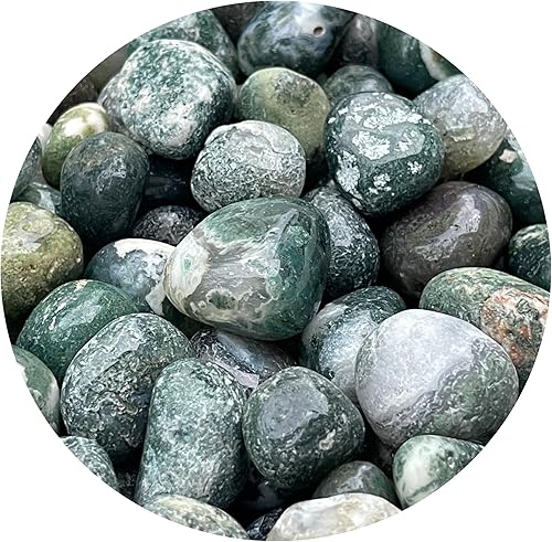 GAF TREASURES Piedras pulidas de ágata musgo de 12 libra, piedra preciosa natural pulida de ágata musgo, cristales curativos de ágata musgo (ágata