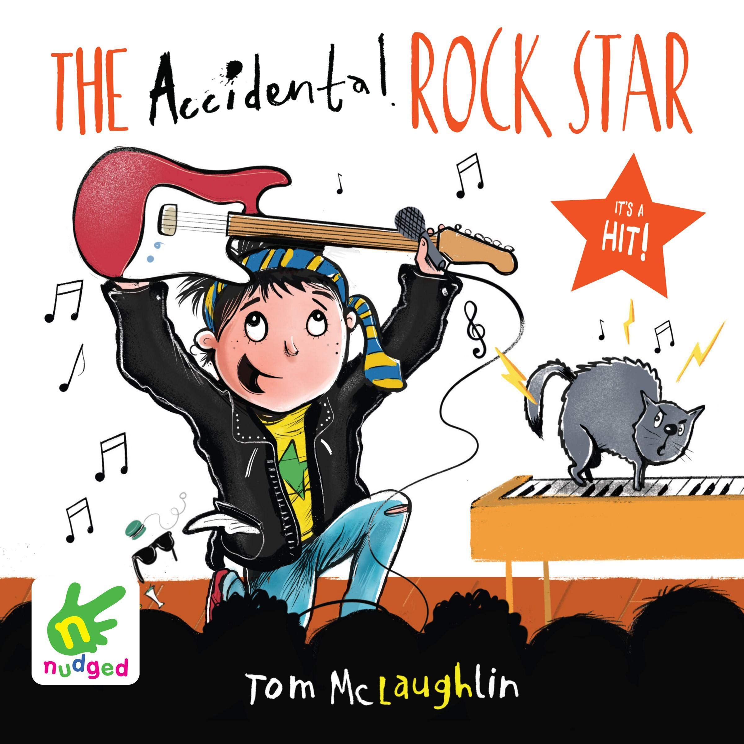 Cover art for The Accidental Rock Star