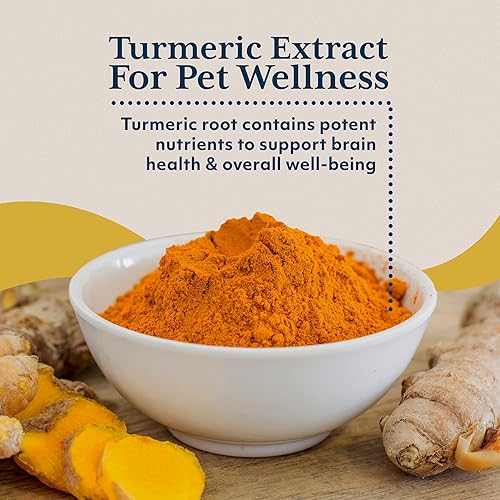 Miniatura 4 de Ayush Pet Mobility, suplemento de curcumina para articulaciones saludables, articulaciones puras y potentes, digestión y apoyo cerebral, mascotas