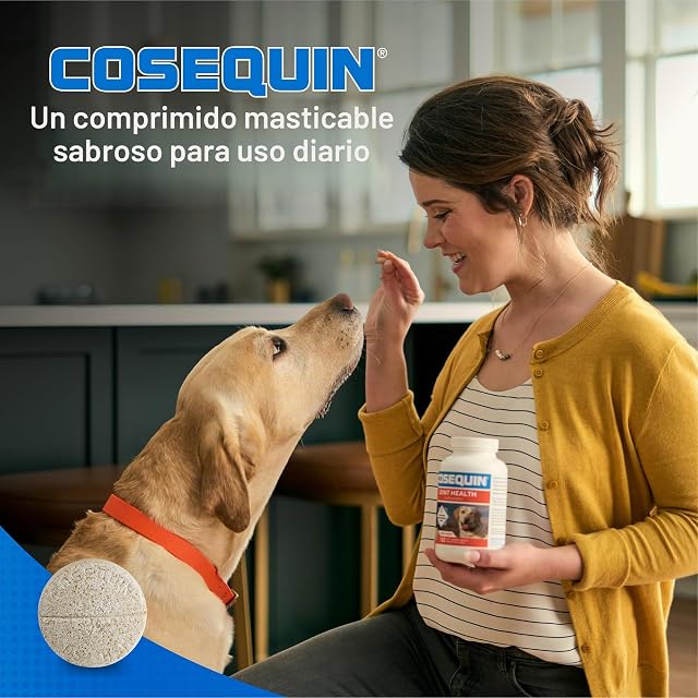 Foto 5 de 8 de Cosequin DS masticables Plus MSM 60CT by Cosequin