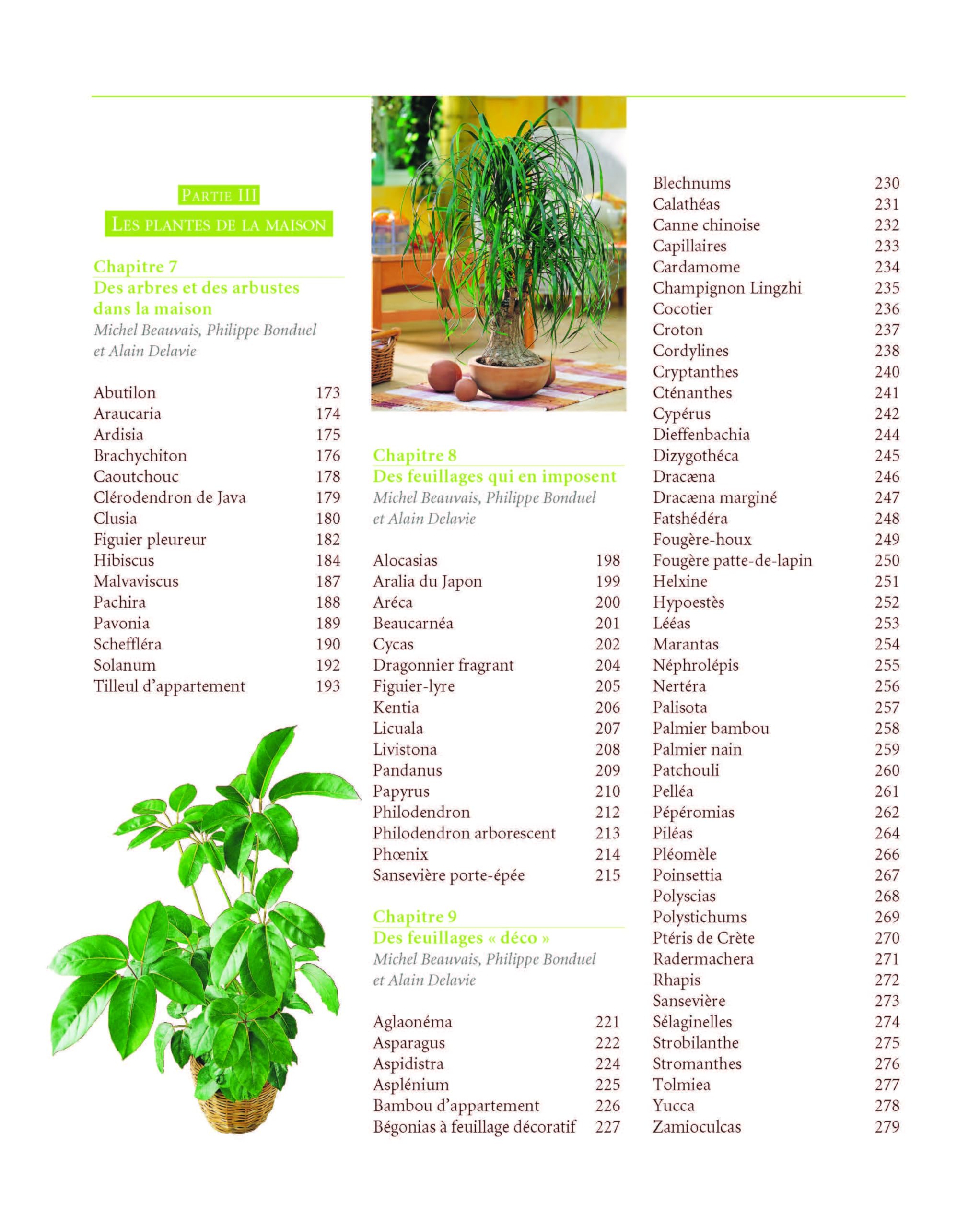 Le Traité Rustica des plantes d'intérieur
