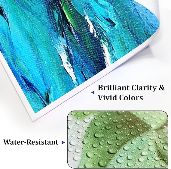 Canvas Roll Wide format Inkjet Printing Glossy ECO-Solvent Polyester Waterproofed Canvas Roll for Printing Drawing Oil Acrylic Or Water-Based Painting(300GSM Glossy ECO-Solvent 36x100ft)
