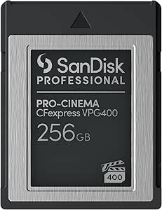 SanDisk Professional 256GB PRO-Cinema CFexpress VPG400 Type B - High-Performance Camera Card - SDPCVN4-256G-GNANN, Black
