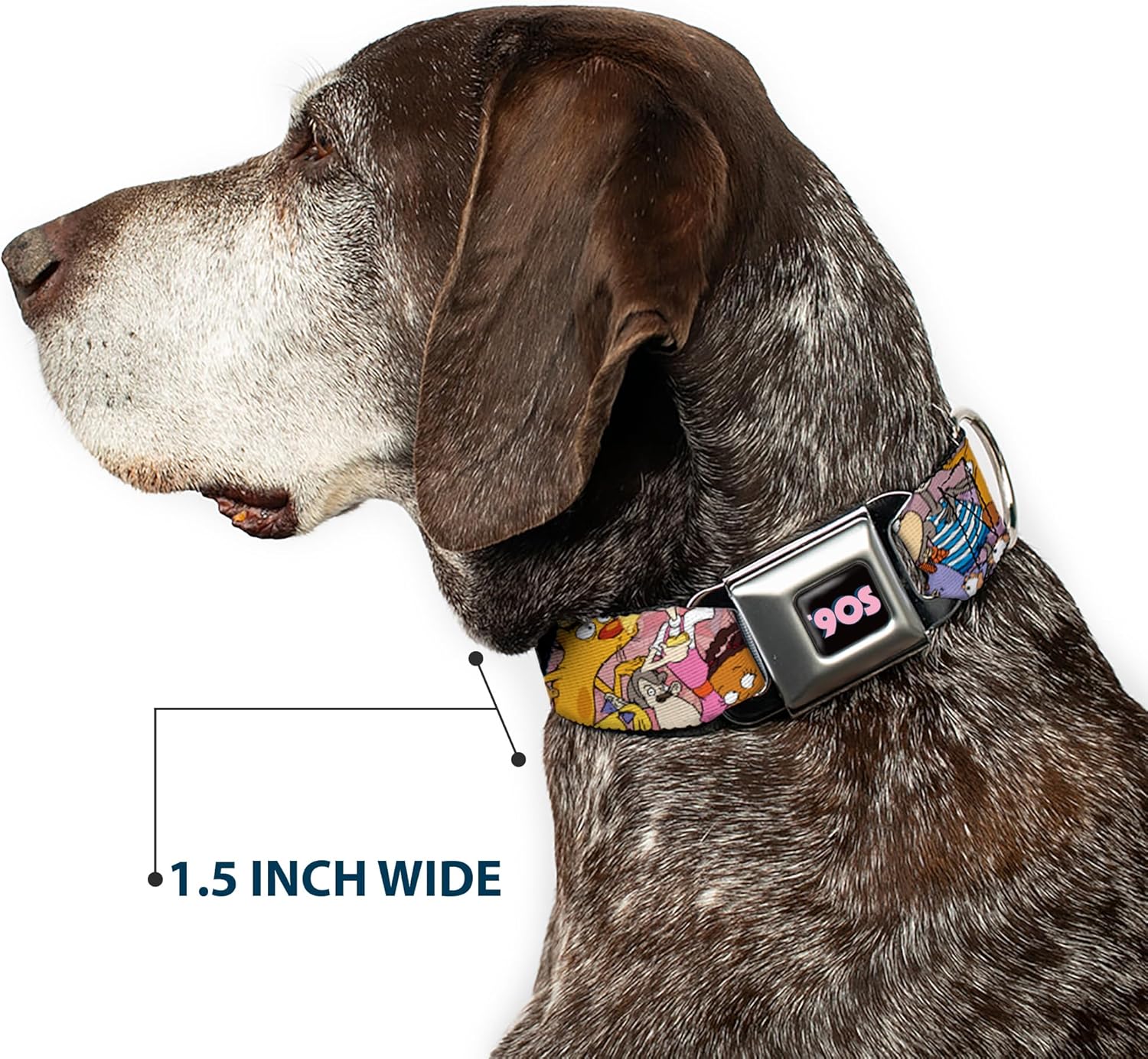 Dog Collar Seatbelt Buckle Nick 90s Rewind Character Mash Up Collage2 Pinks 15 to 26 Inches 1.0 Inch Wide