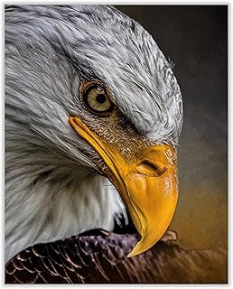 Majestic Bald Eagle Motivational Wall Art Print – 8x10" American Patriotic Artwork Featuring Eagle Photography – Inspirational Animal & Political Symbol for Home, Office, School, or Study – Unframed