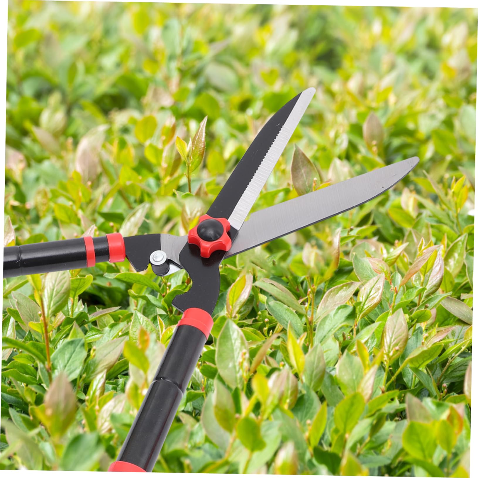 BESTonZON Heckenschere aus Sk5-stahl mit Gummigriff Teleskopierbar Schont Arm und Schulter für Heckenschnitt Gartengeräte für Gartenarbeit Ratschen Astschere