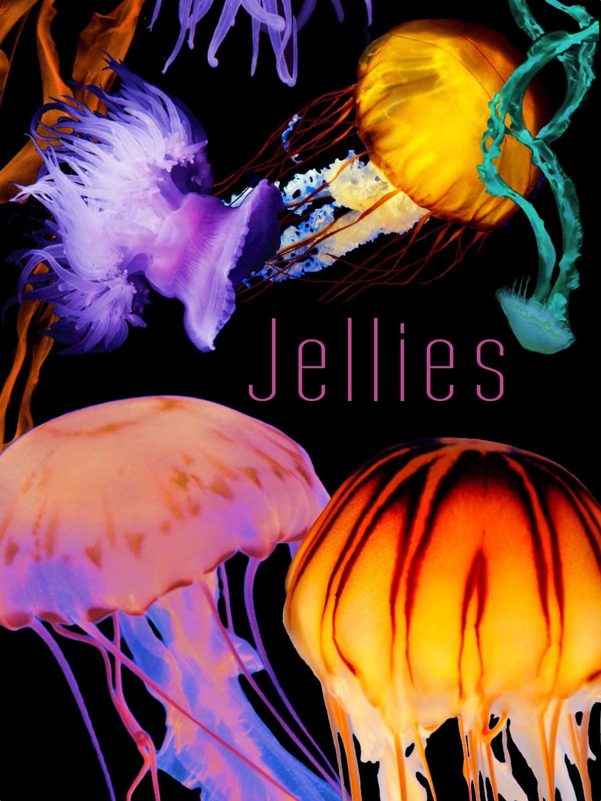 The Art of Nature: Jellies [Blu-ray]