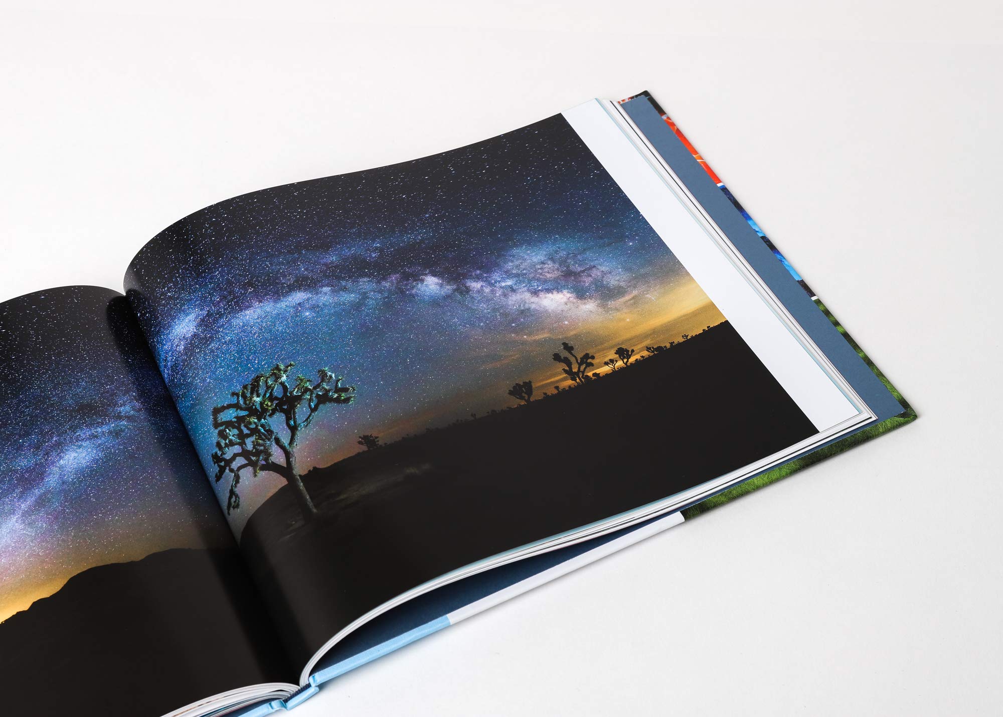 Wonders : Spectacular Moments In Nature