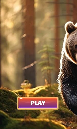 Scary Jungle Wild Bear Sounds