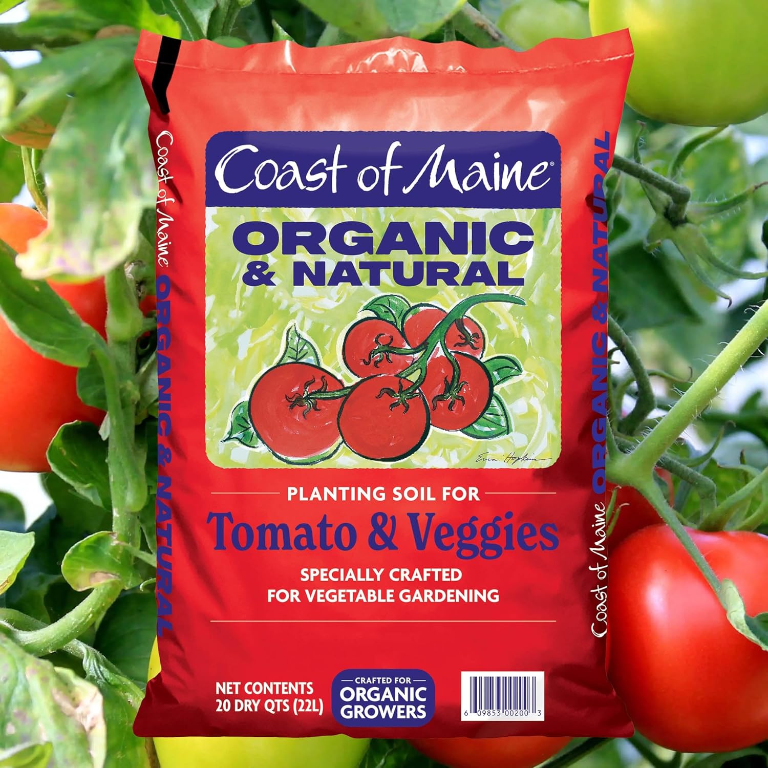 Coast of Maine Organic & Natural Planting Soil for Vegetables & Tomatoes - Premium Planting Soil w/ Composted Manure, Sphagnum Peat Moss for Multi Use Ground & Containers - Enhanced Drainage (20 Qt)