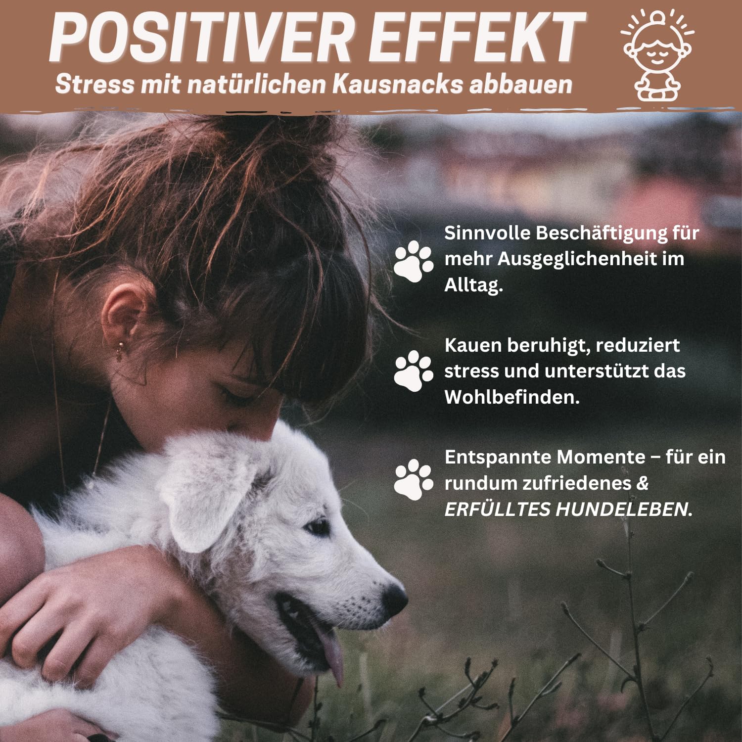 PrideDogs Rindfleischstreifen 1000g – Premium Kausnack für Hunde | 100% Rind aus Deutscher Herstellung | Naturrein ohne Zusatzstoffe | Im wiederverschließbaren Beutel