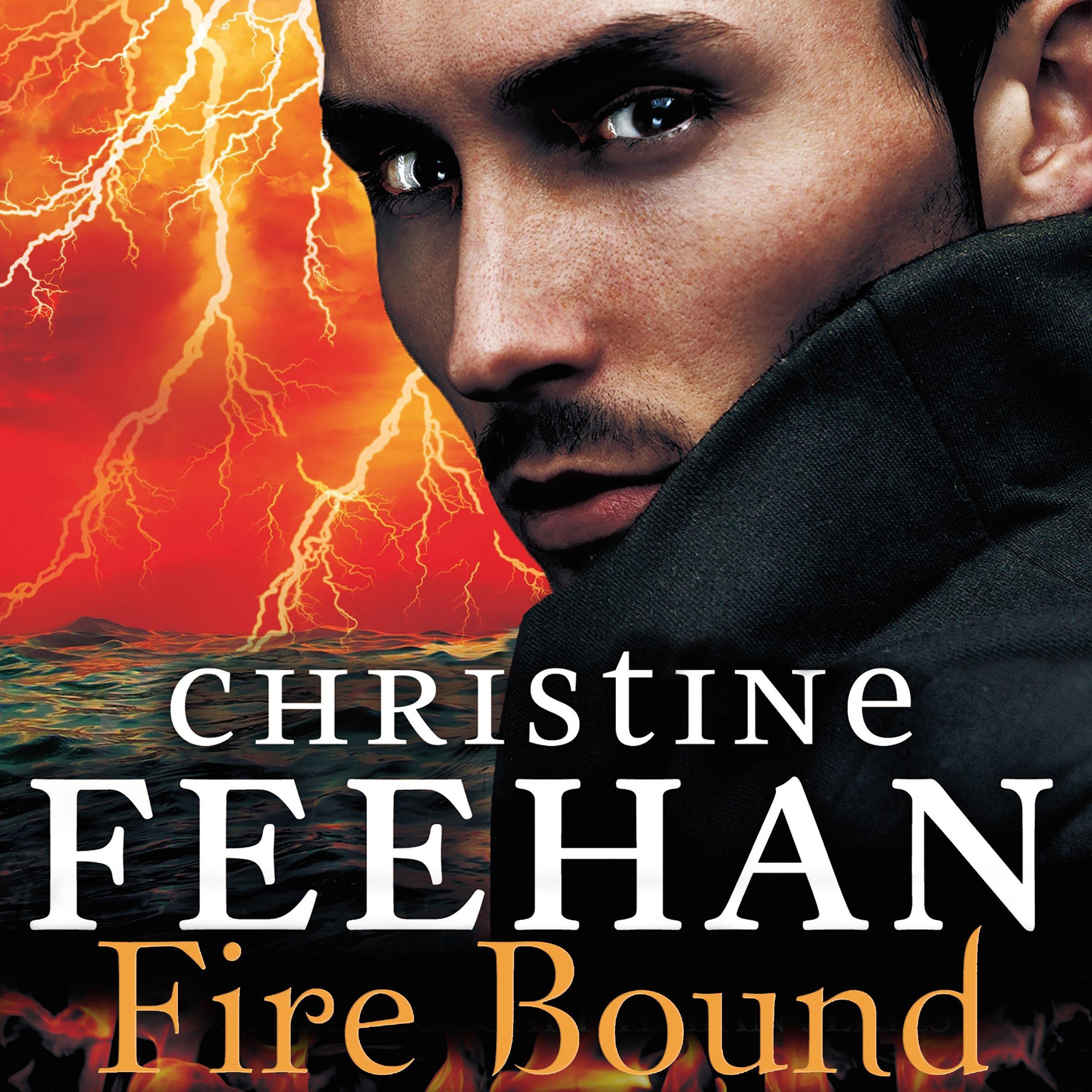 Cover art for Fire Bound: Sea Haven, Book 5