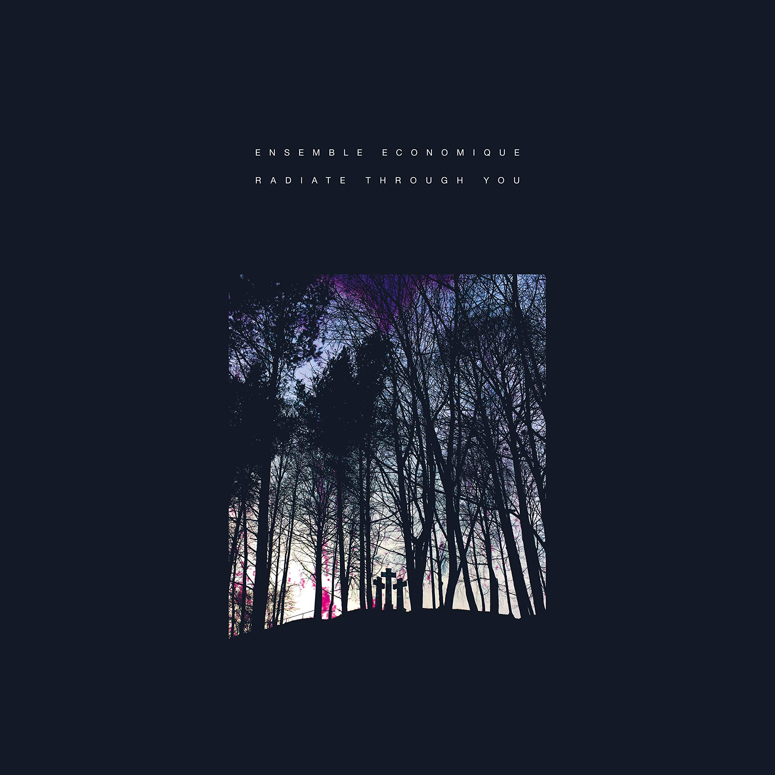 Radiate Through You [VINYL]