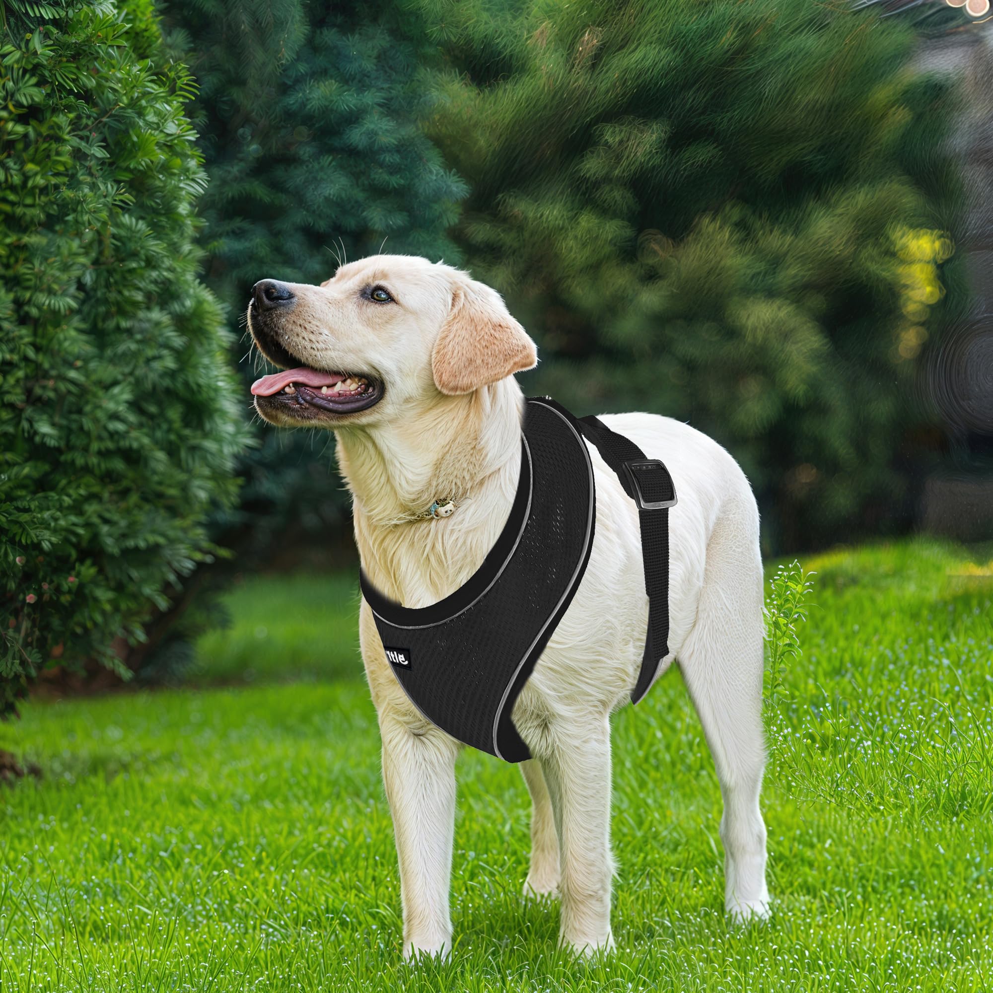AIITLE Puppy Dog Harness, Triple-Layer Breathable Mesh, Adjustable Fit & Reflective Design - Image 2