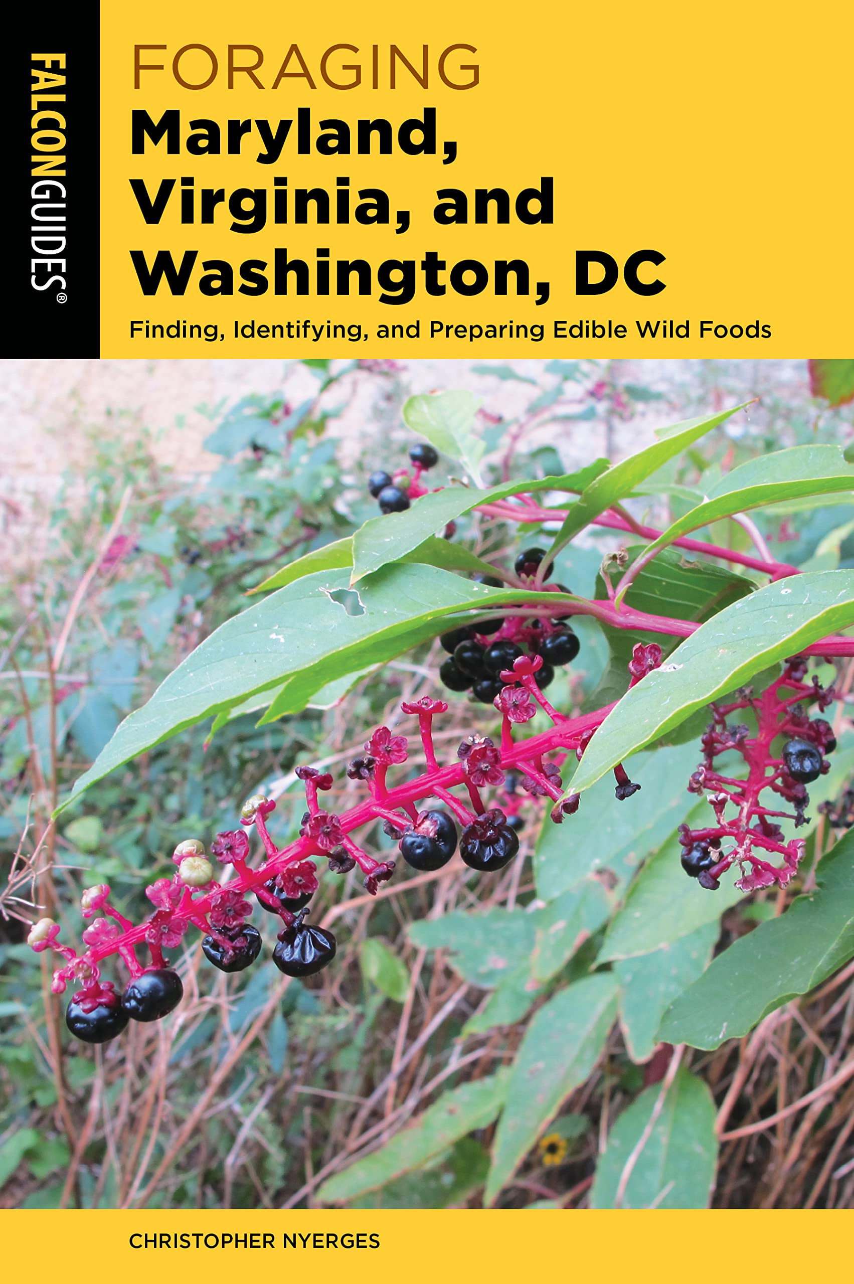 Foraging Maryland, Virginia, and Washington, DC: Finding, Identifying, and Preparing Edible Wild Foods (Foraging Series)