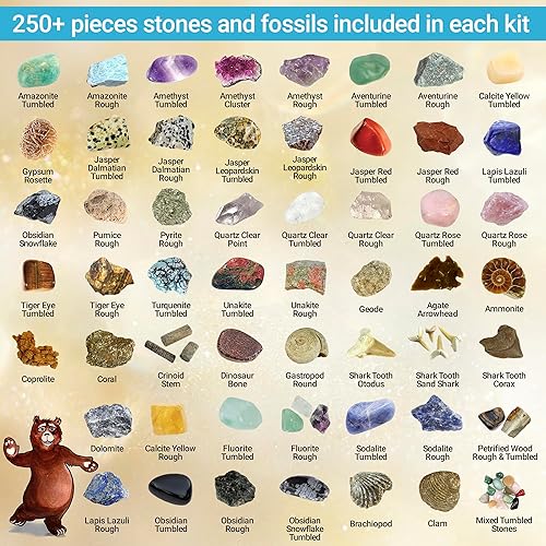 Miniatura 7 de DANCING BEAR -Colección Rock & Mineral de 15 piezas con caja de coleccionistavitrina, hoja de identificación, libro de roca, lupa, juego de