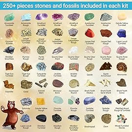 DANCING BEAR Rock, Mineral & Geodes Treasure Hunt Activity Kit (250 Pc Set) Real Shark Teeth Fossils, ID Sheet & Rock Book, STEM
