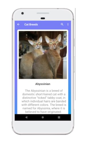 Cat Breeds Quiz