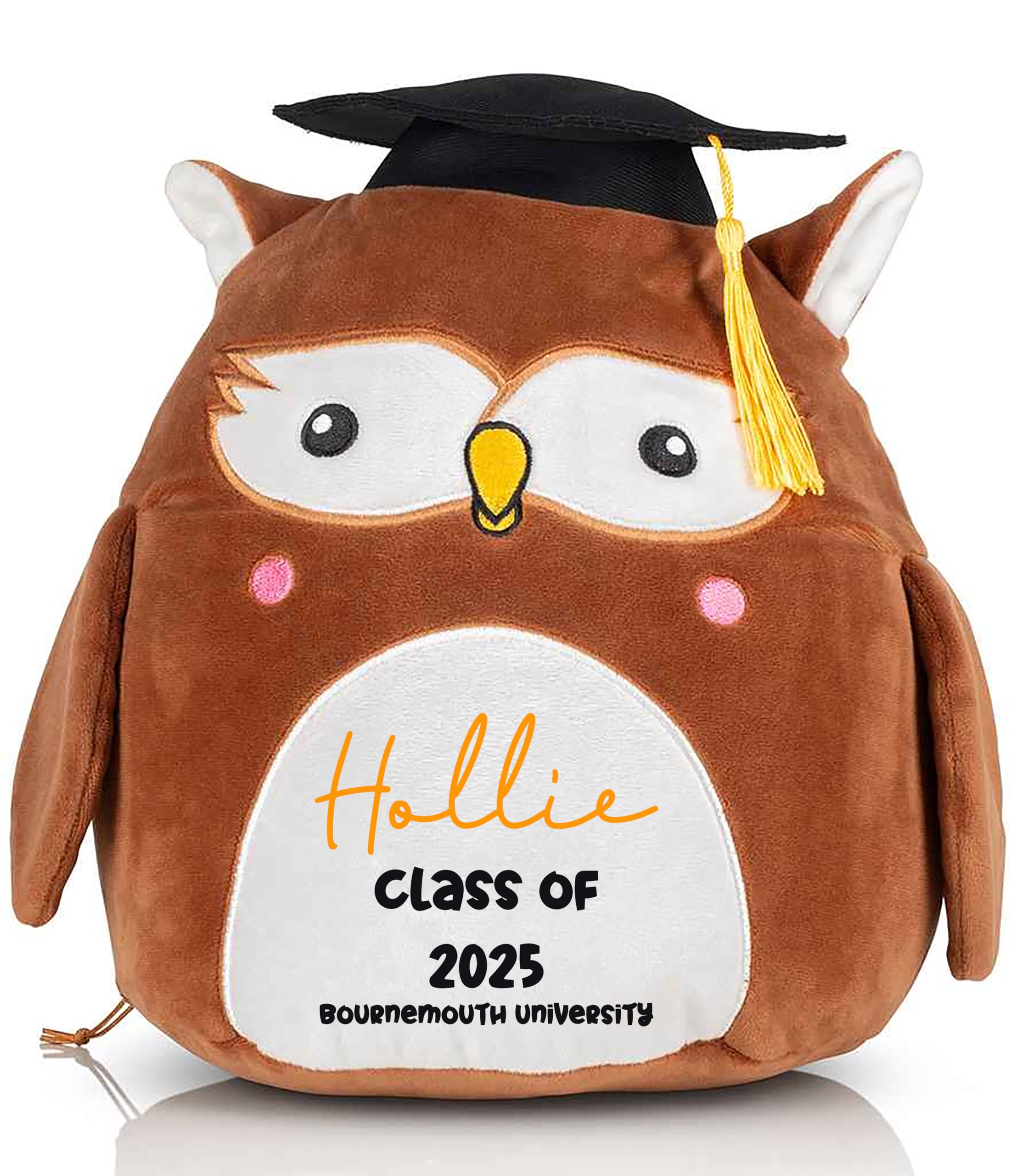 Personalised Graduation Owl Plush, Gift, Toy, Stuffie, Teddy. Congratualtions Graduate, Cuddly Toy Keepsake, Present, Teacher, Thank You
