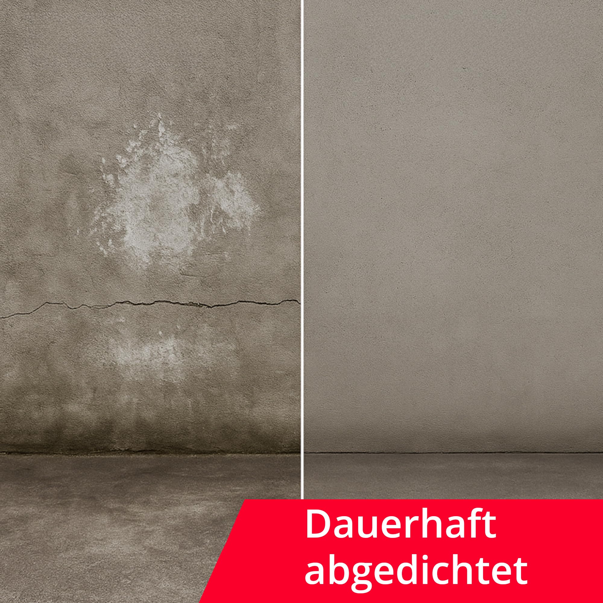 BORNIT Antisulfat Tiefengrund Grundierung bei Ausblühungen für ca.100m² | [tiefes Eindringen] Steinimprägnierung außen Salpeterentferner Tiefengrund Mörtel Kalkputz Feinsteinzeug Imprägnierung Wand