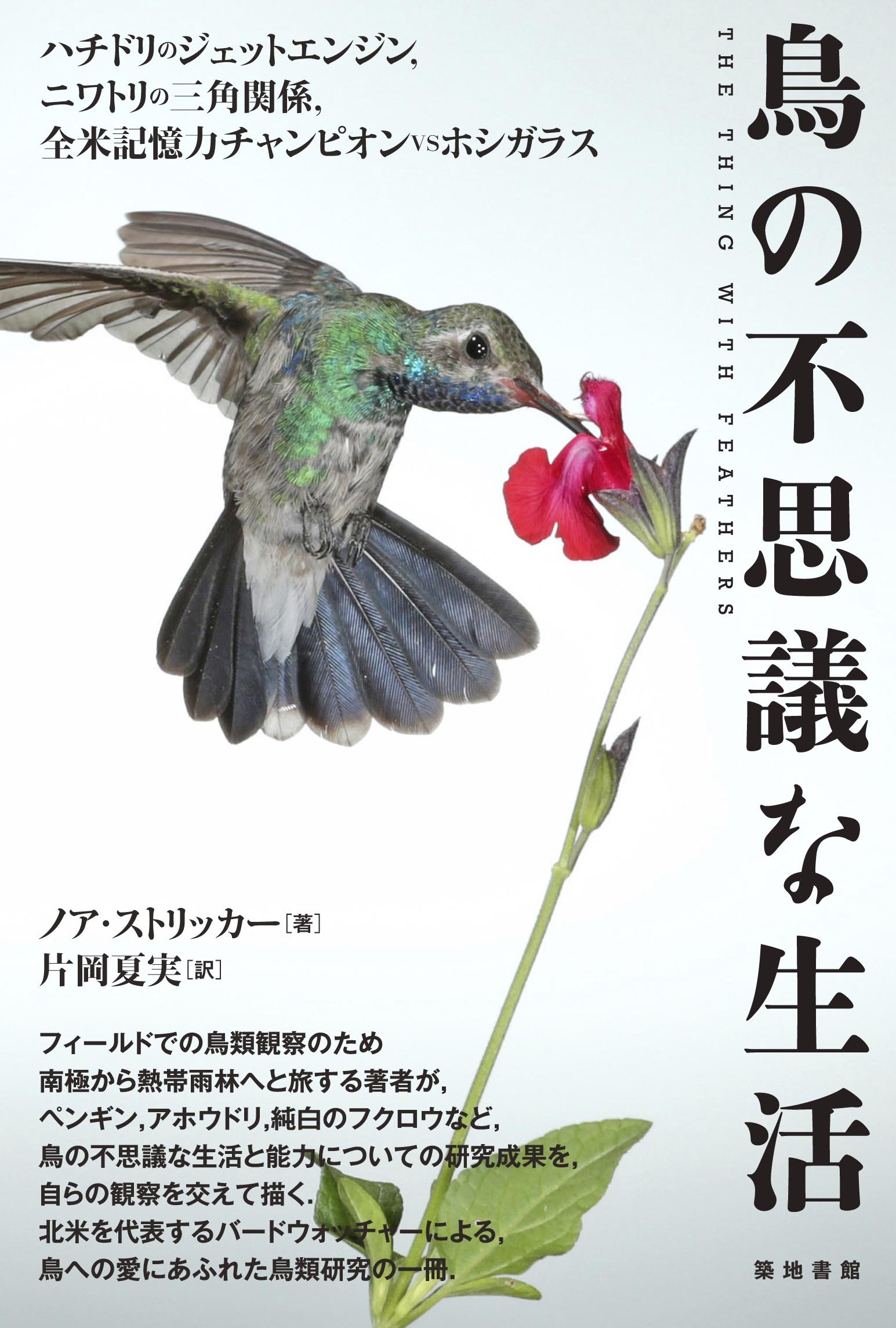 鳥の不思議な生活: ハチドリのジェットエンジン、ニワトリの三角