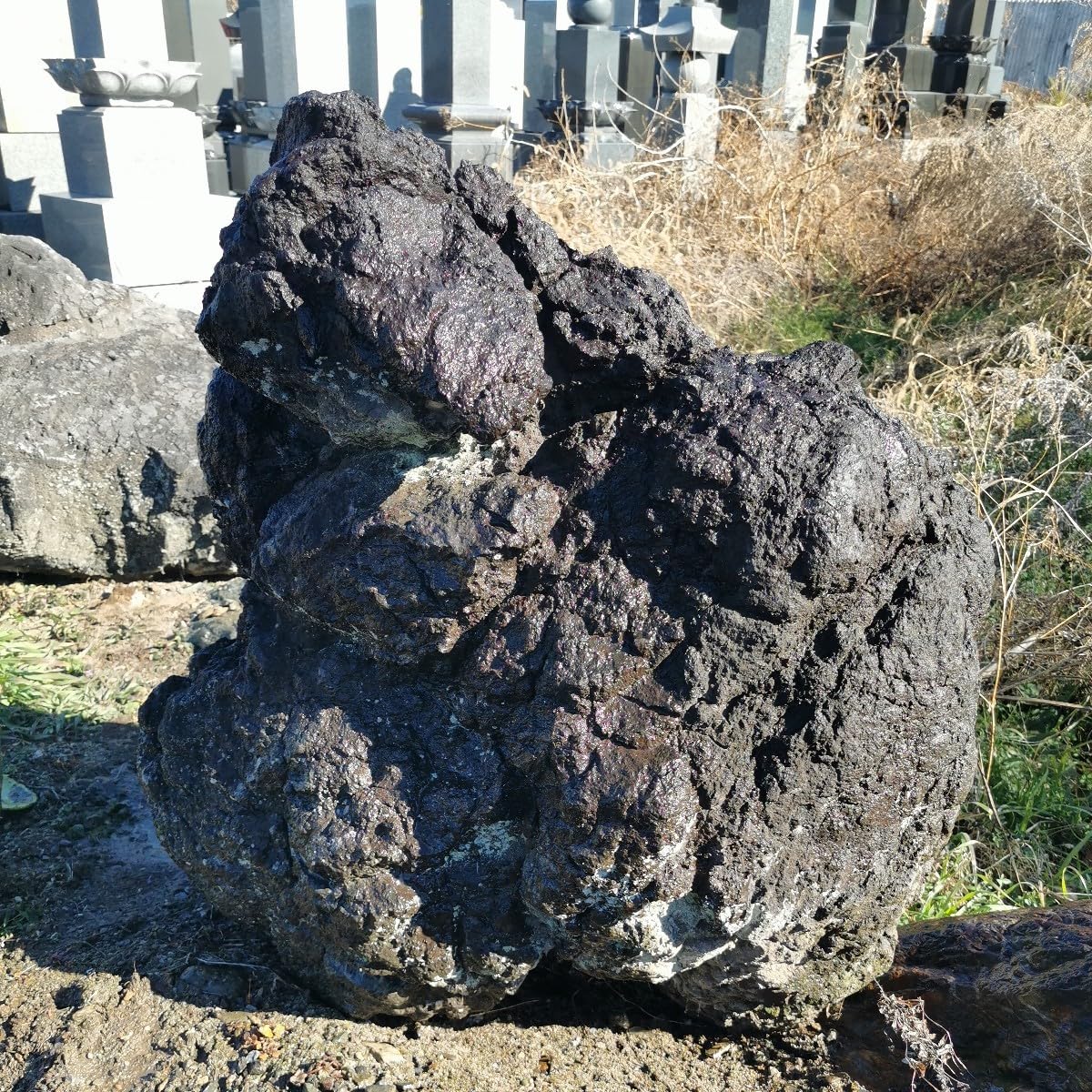 Amazon.co.jp: 浅間溶岩石166キロ庭石鑑賞石石盆石水石灯籠庭坪庭盆栽 