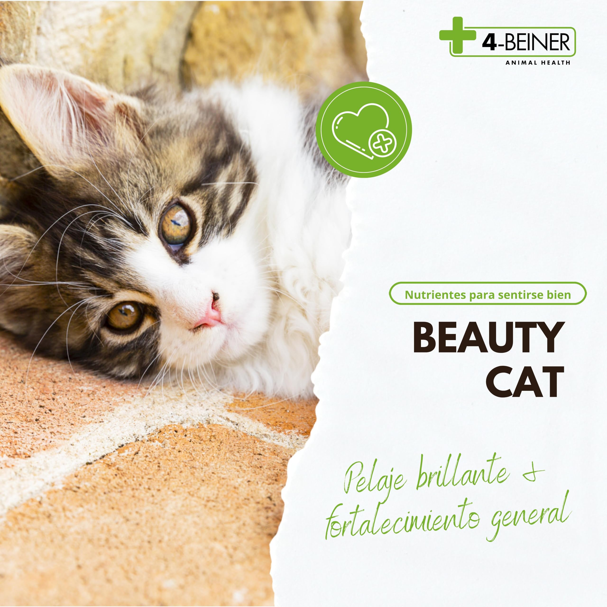 4-Beiner Beauty-Cat: multivitaminas para Gatos con Omega 3, MSM, Complejo de Vitamina B, Vitamina C, biotina, Cardo Mariano, levadura de Cerveza, Zinc, YODO, Selenio