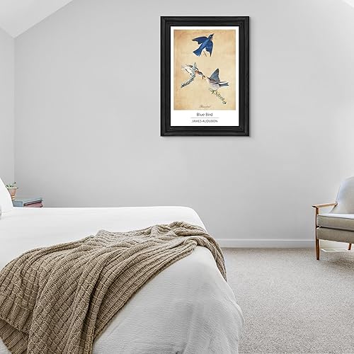 Vista 259 de Towee Bunting by James Audubon - Marco biselado negro de 12 x 16 pulgadas, decoración artística enmarcada para pared, reproducción de pinturas