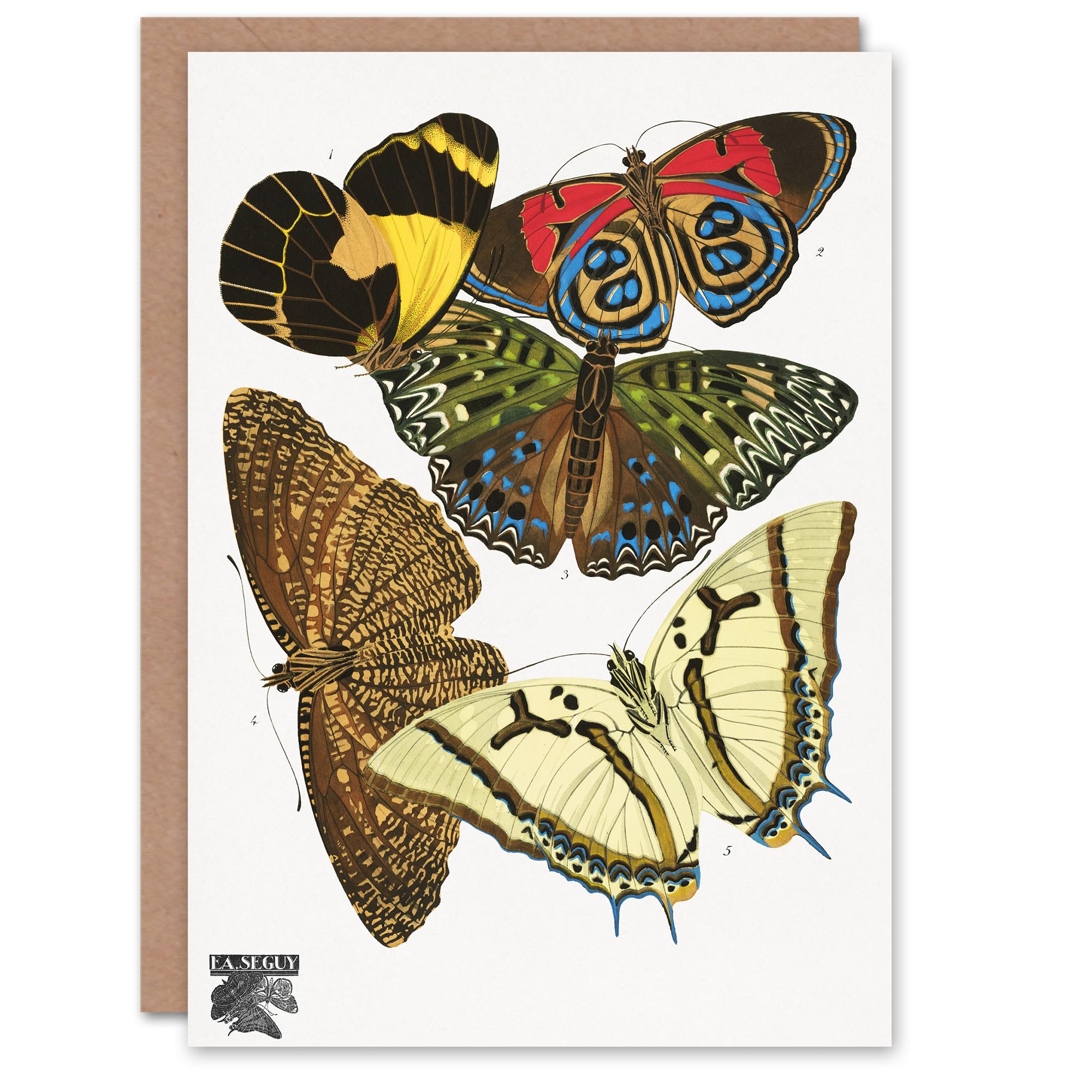 Artery8 Eugene Seguy Art Card Vintage Butterflies Papillons