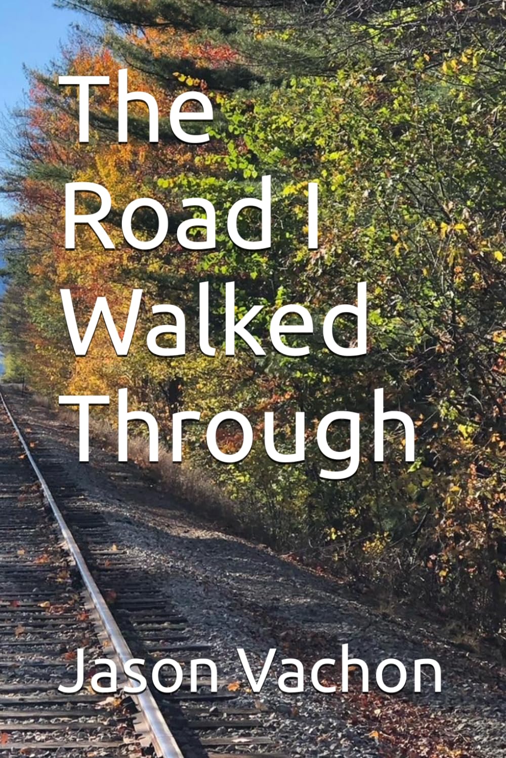 The Road I Walked Through