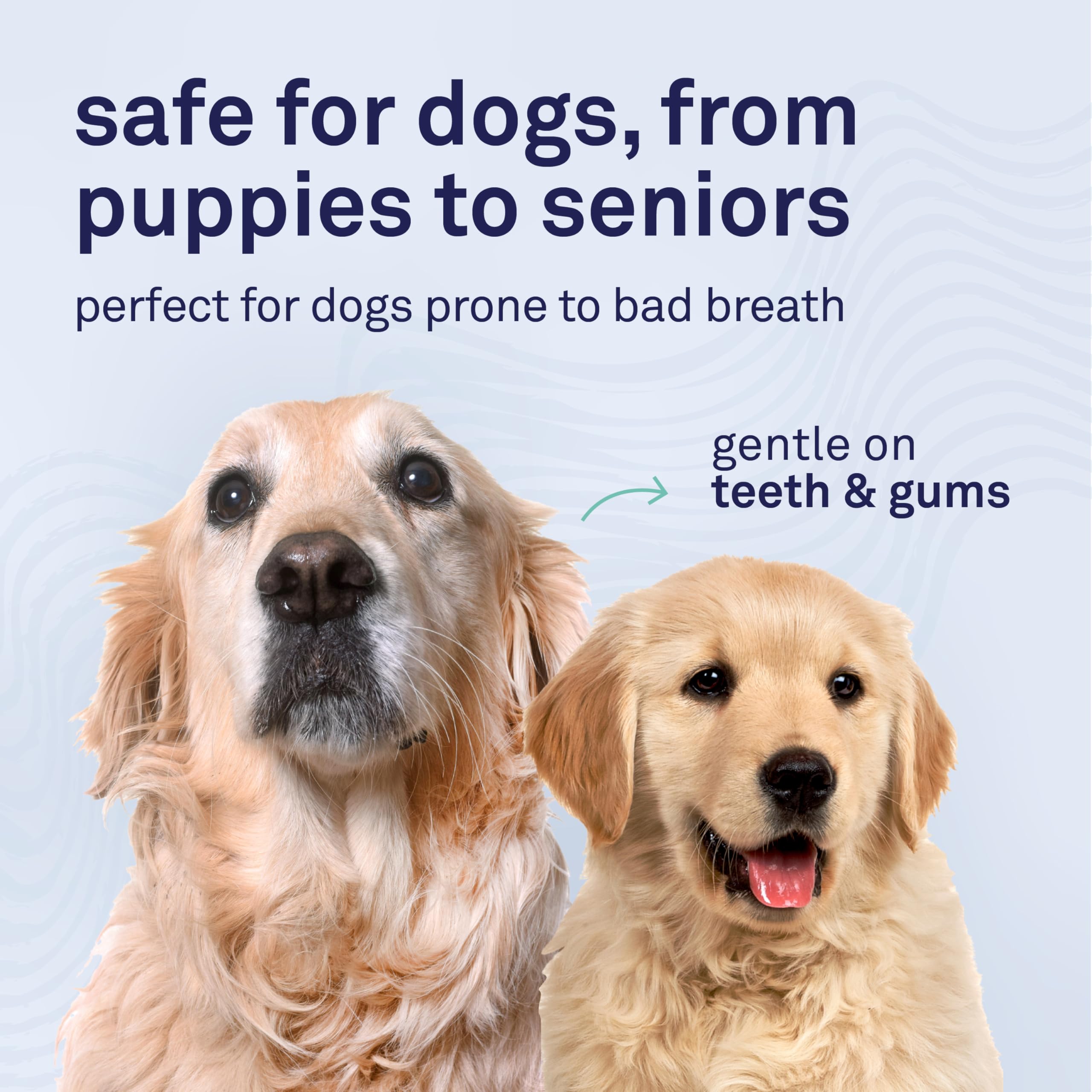 Petpost | Toothpaste for Dogs - Coconut Oil and Baking Soda Based Dental Gel That Naturally Eliminates Bad Breath - Dirt, Gunk, and Tooth Buildup Gone - Mint Flavor 4 oz. - image 5