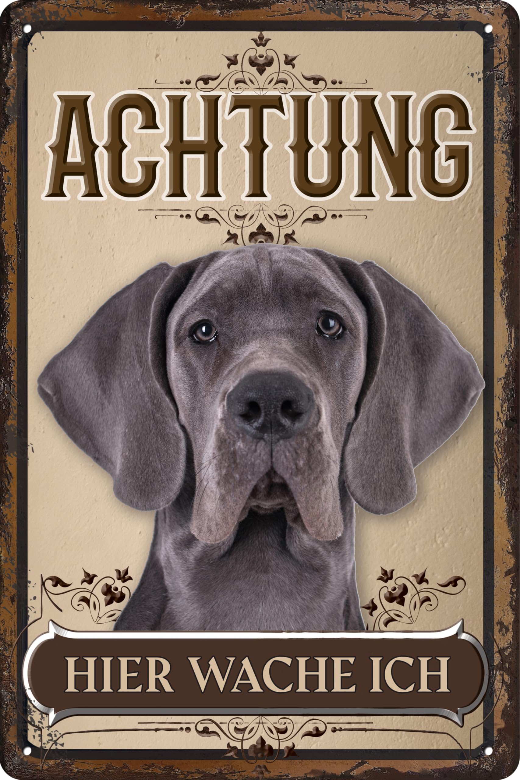 30 x 20 cm wetterfestes Blechschild, Warnhinweis, Torschild, Achtung, hier Wache ich! Warnung vor dem Hund (Deutsche Dogge 1)